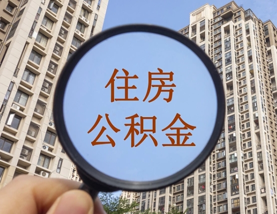 肥城退休后查不到公积金明细了吗（退休后公积金查询不到原因）